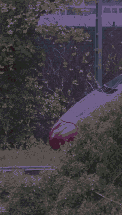 There should be a train video here :'(