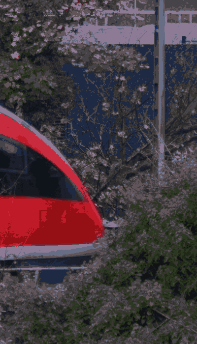 There should be a train video here :'(