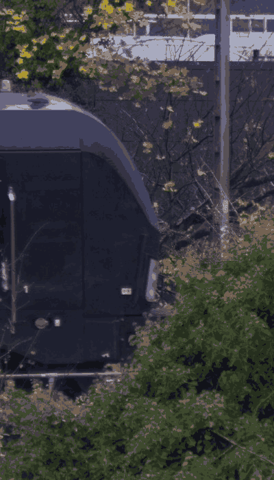 There should be a train video here :'(