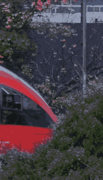 There should be a train video here :'(