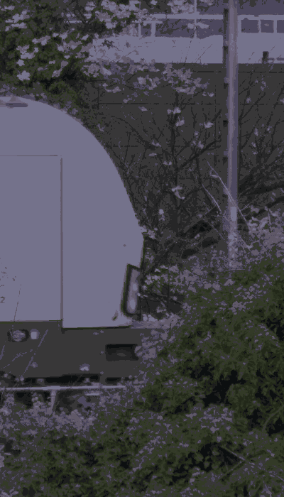 There should be a train video here :'(