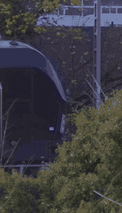 There should be a train video here :'(