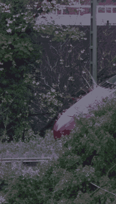 There should be a train video here :'(