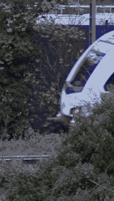 There should be a train video here :'(