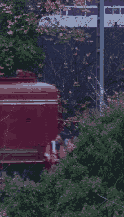 There should be a train video here :'(