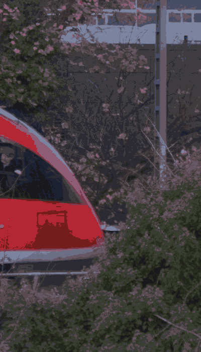 There should be a train video here :'(