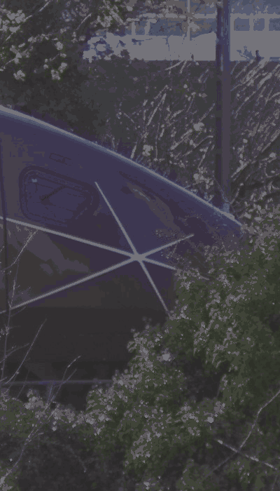 There should be a train video here :'(