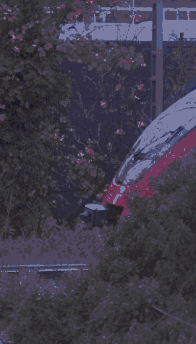 There should be a train video here :'(