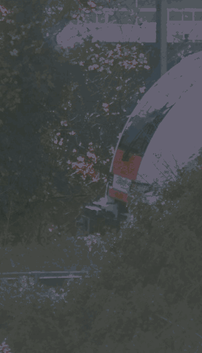 There should be a train video here :'(