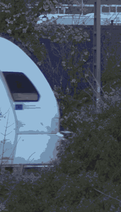 There should be a train video here :'(