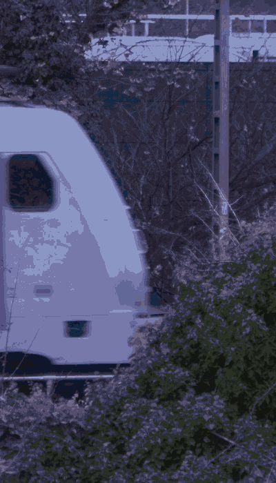 There should be a train video here :'(