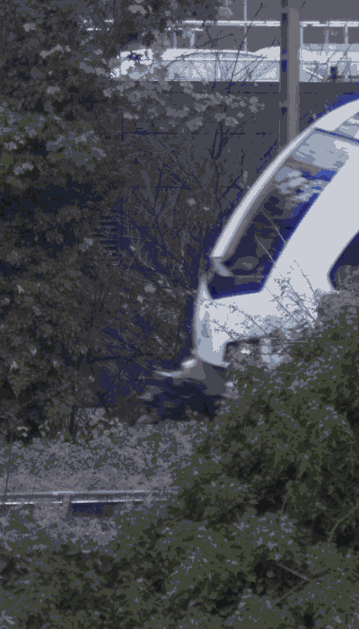 There should be a train video here :'(