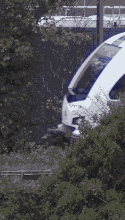 There should be a train video here :'(