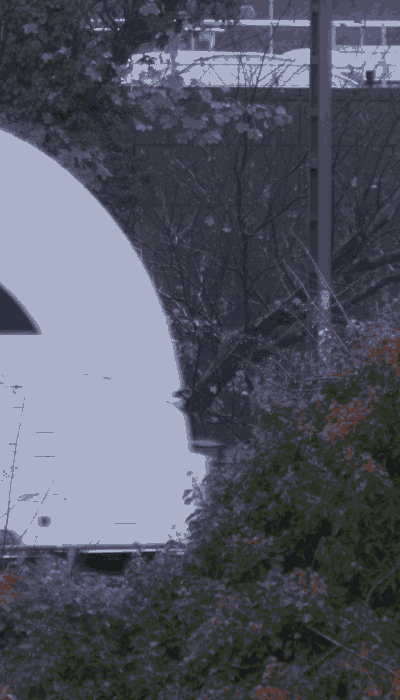 There should be a train video here :'(