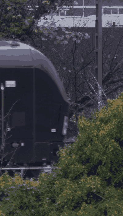 There should be a train video here :'(