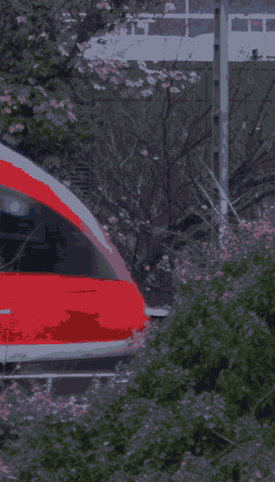 There should be a train video here :'(