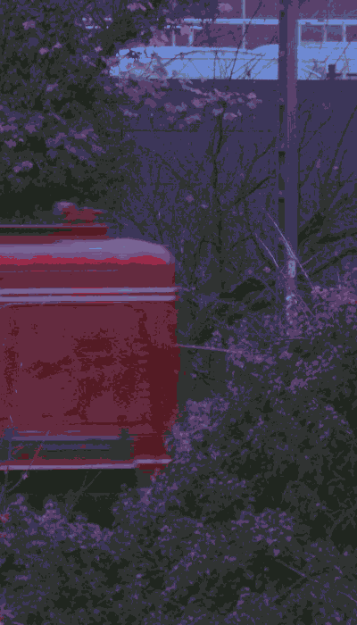 There should be a train video here :'(