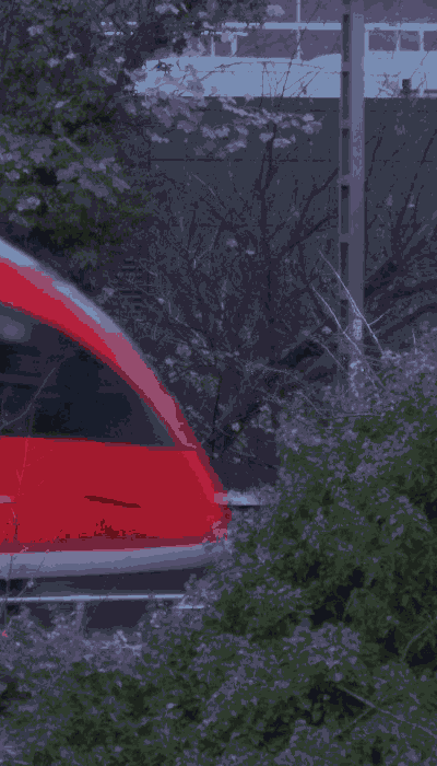 There should be a train video here :'(