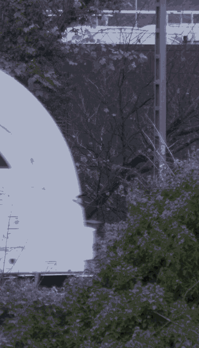 There should be a train video here :'(