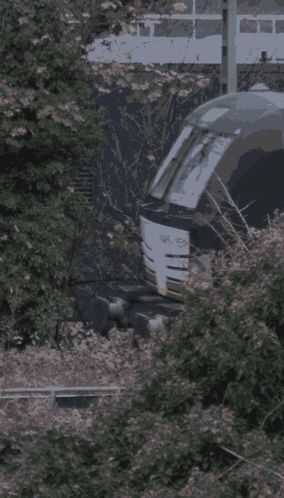 There should be a train video here :'(