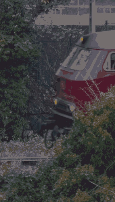 There should be a train video here :'(