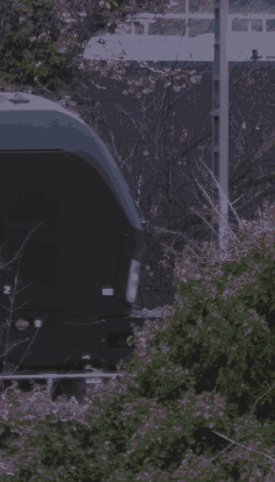 There should be a train video here :'(