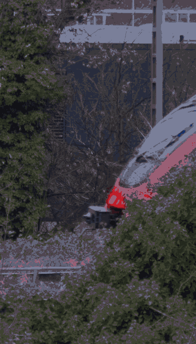 There should be a train video here :'(