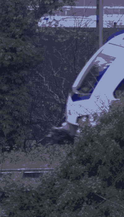 There should be a train video here :'(