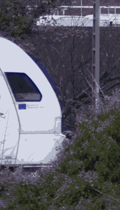 There should be a train video here :'(