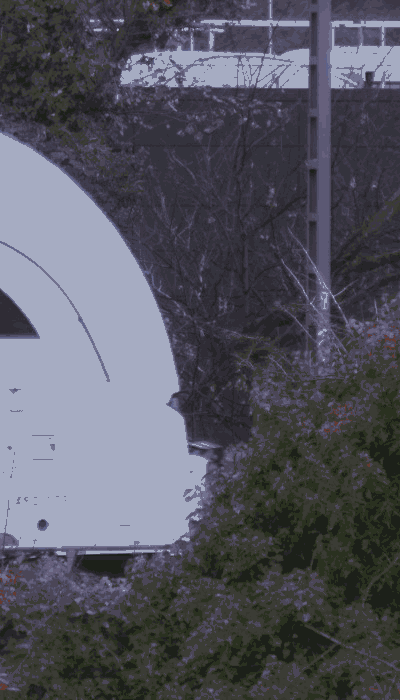 There should be a train video here :'(