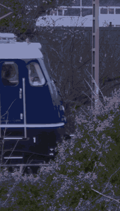 There should be a train video here :'(