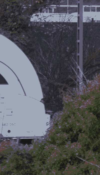 There should be a train video here :'(