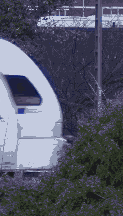 There should be a train video here :'(