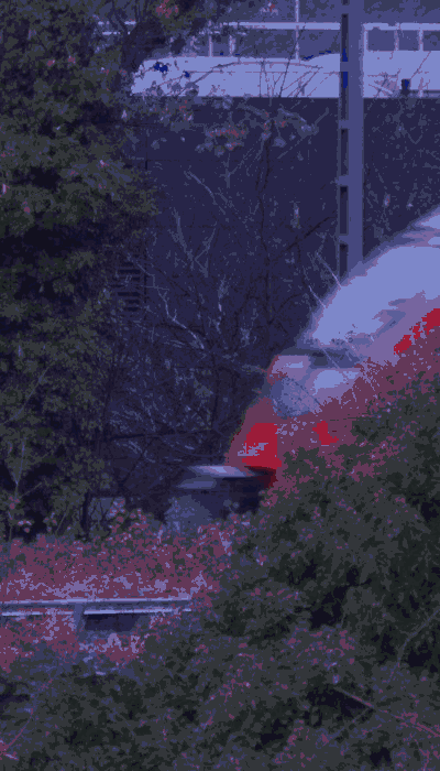 There should be a train video here :'(