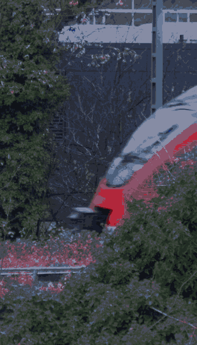 There should be a train video here :'(