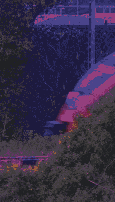 There should be a train video here :'(