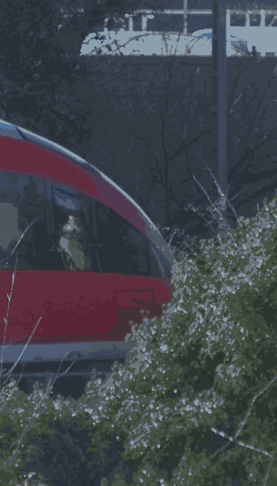 There should be a train video here :'(