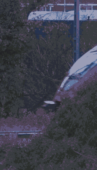 There should be a train video here :'(