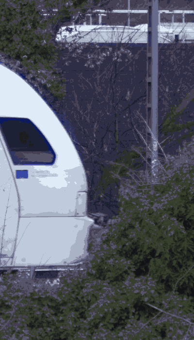 There should be a train video here :'(