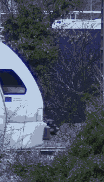 There should be a train video here :'(