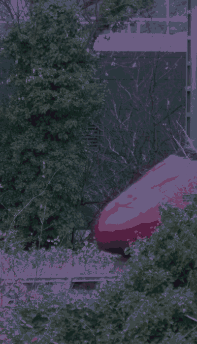 There should be a train video here :'(