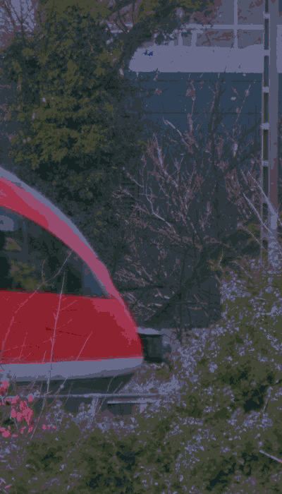 There should be a train video here :'(