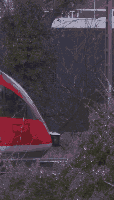 There should be a train video here :'(