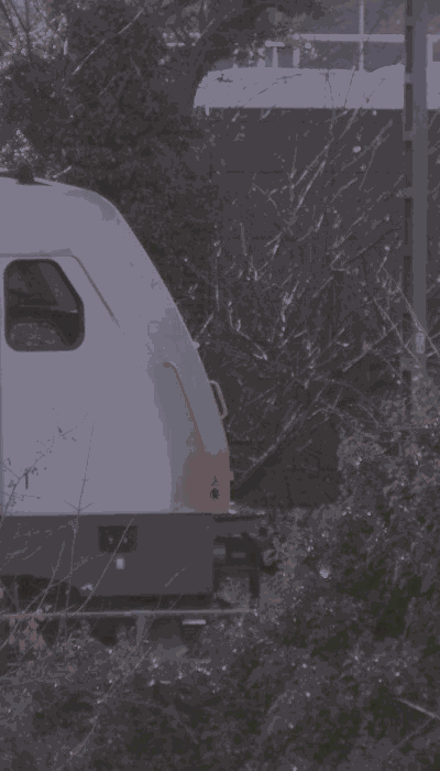 There should be a train video here :'(