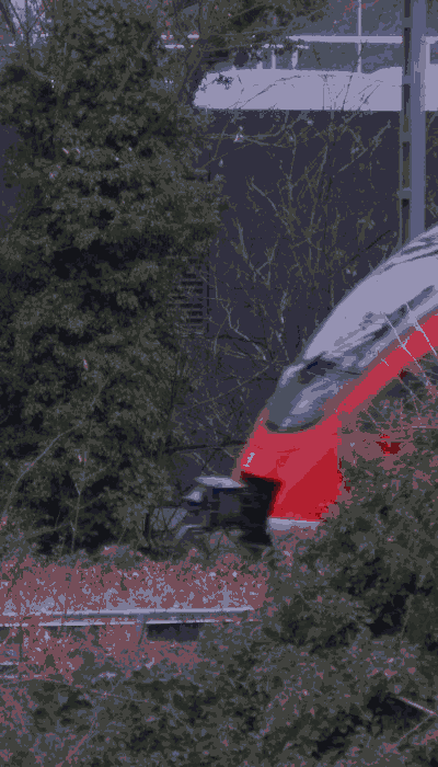 There should be a train video here :'(