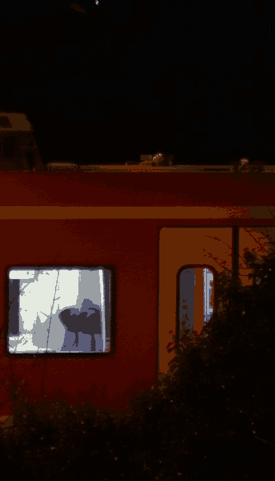 There should be a train video here :'(