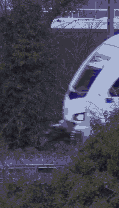 There should be a train video here :'(