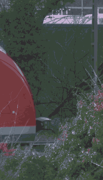 There should be a train video here :'(