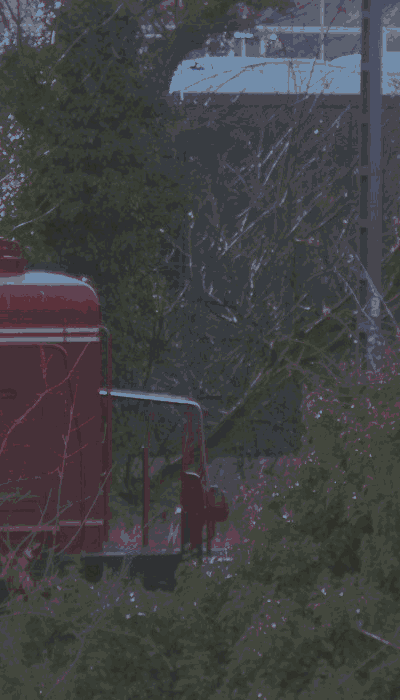 There should be a train video here :'(