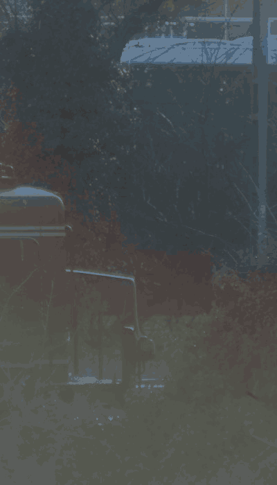 There should be a train video here :'(